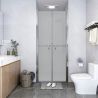 Sprchové dvere, matné, ESG 101x190 cm