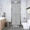 Sprchové dvere, matné, ESG 96x190 cm